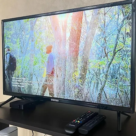 Charming Urban Retreat In Daire *