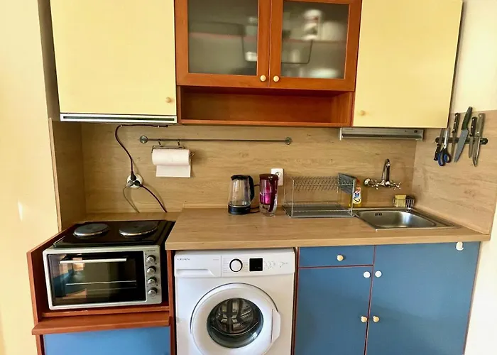 アパート Charming Urban Retreat In ソフィア