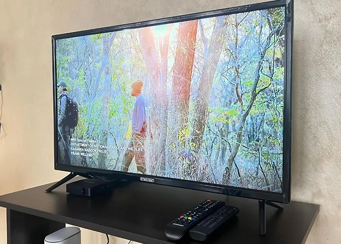 Charming Urban Retreat In アパート *